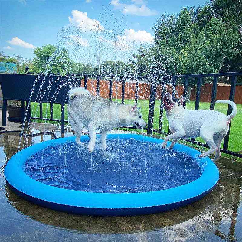 Piscina para Cachorro Pequeno, Médio e Grande com Chafariz