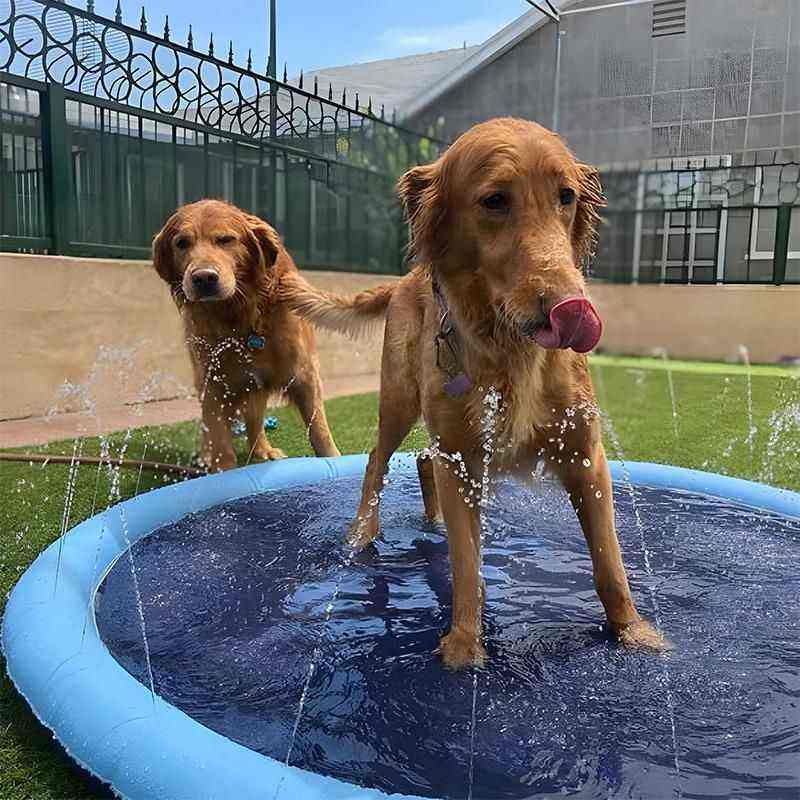 Piscina para Cachorro Pequeno, Médio e Grande com Chafariz