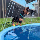 Piscina para Cachorro Pequeno, Médio e Grande com Chafariz