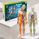 Corpo Humano 3D Montessori