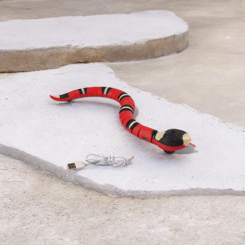 Fast Snake, Cobra de Brinquedo!