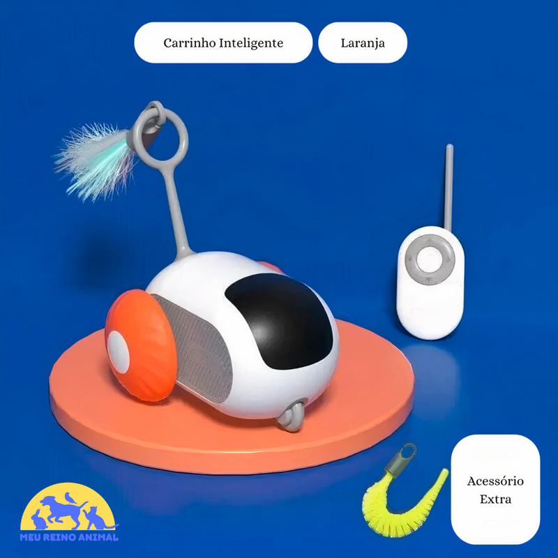 CatDrive, Brinquedo Interativo com Controle Remoto para gatos!