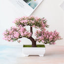 Bonsai Decorativo