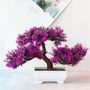 Bonsai Decorativo