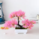 Bonsai Decorativo
