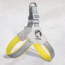 Colete e Trela de Caminhada Duomm