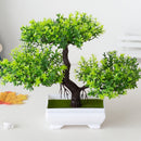 Bonsai Decorativo