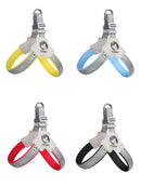 Colete e Trela de Caminhada Duomm