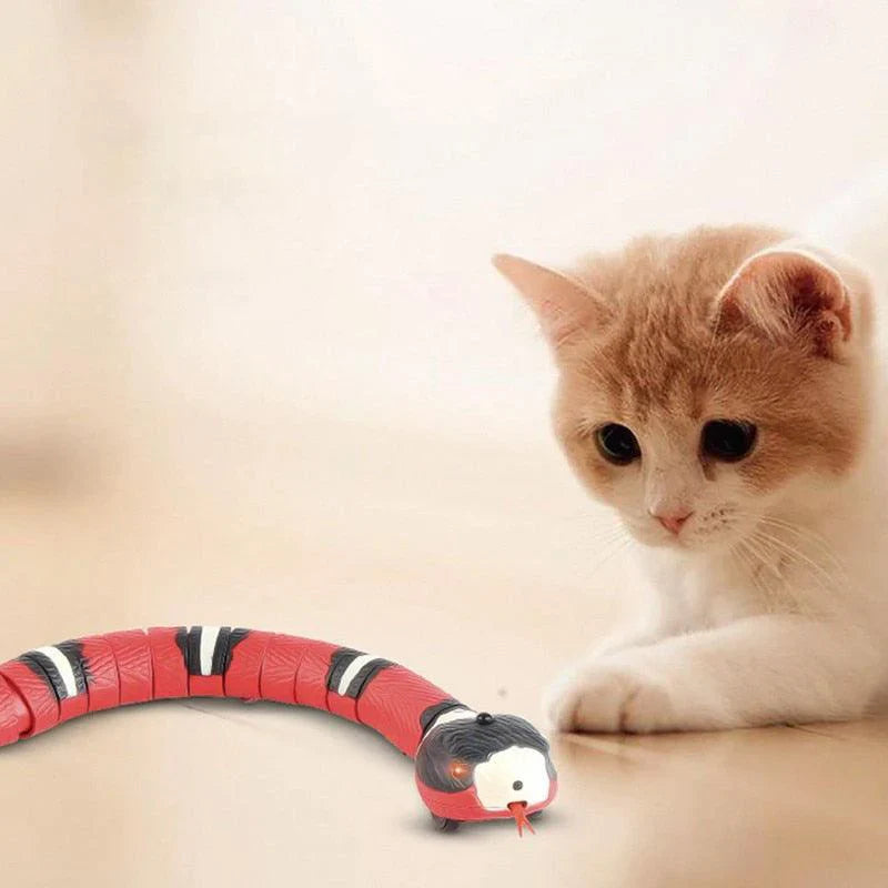 Fast Snake, Cobra de Brinquedo!